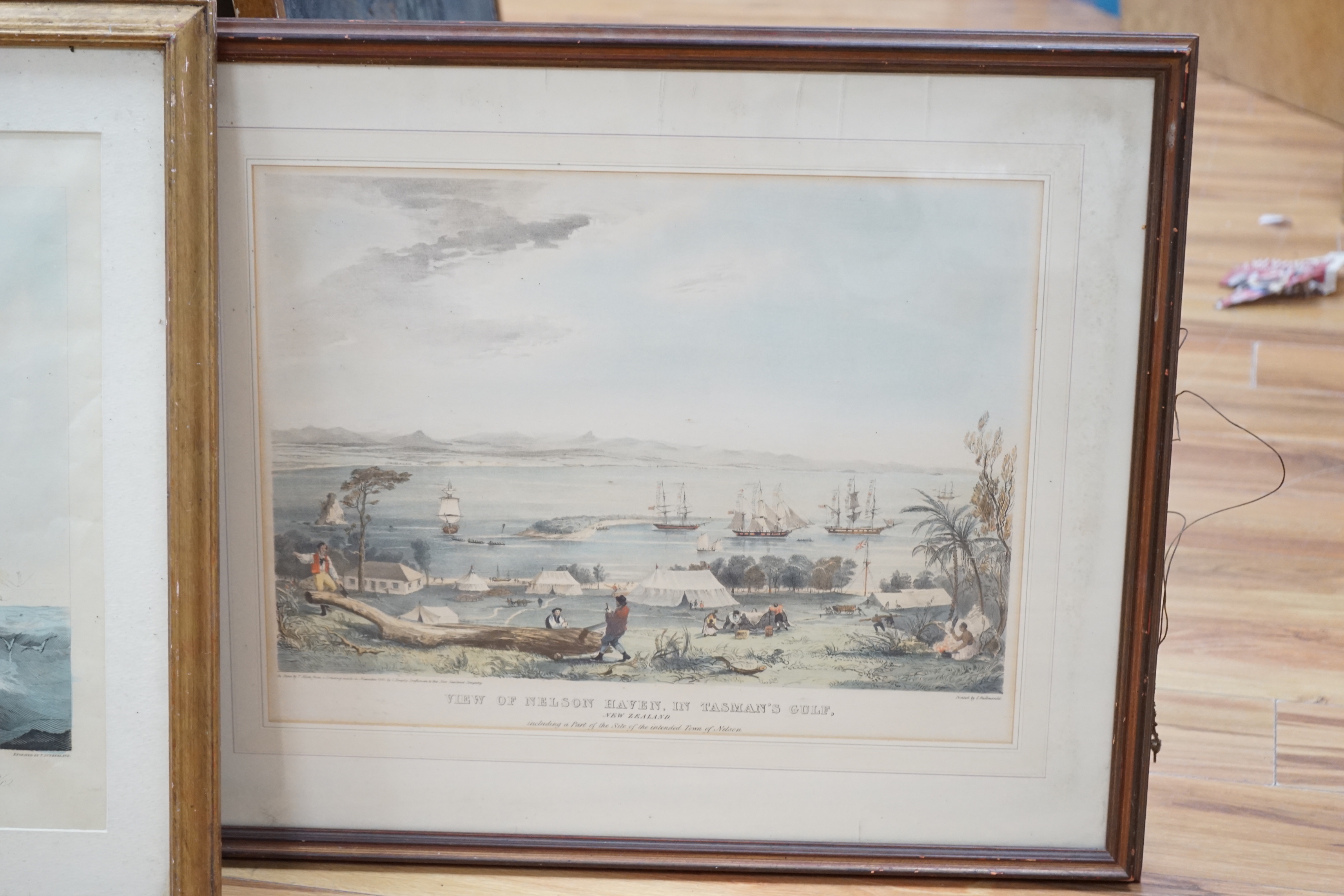 After William John Huggins (1781-1845) and after Thomas Allom (1804-1872), two colour prints comprising Nelson's Haven, Tasman's Gulf, New Zealand and Table Bay, Cape of Good Hope, largest 47 x 70cm